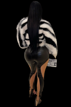 Load image into Gallery viewer, Zebra Queen
